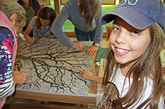 Giant Linoprint at Westonbirt